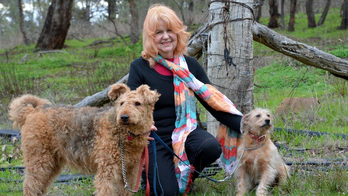 Author Sally van Gent with her dogs Tilly, left, and Basil. Picture: Brendan McCarthy 