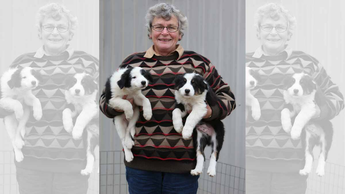Breader Merylin Wallis from Amphitheatre with nine-week-old pups. Picture: Peter Weaving.