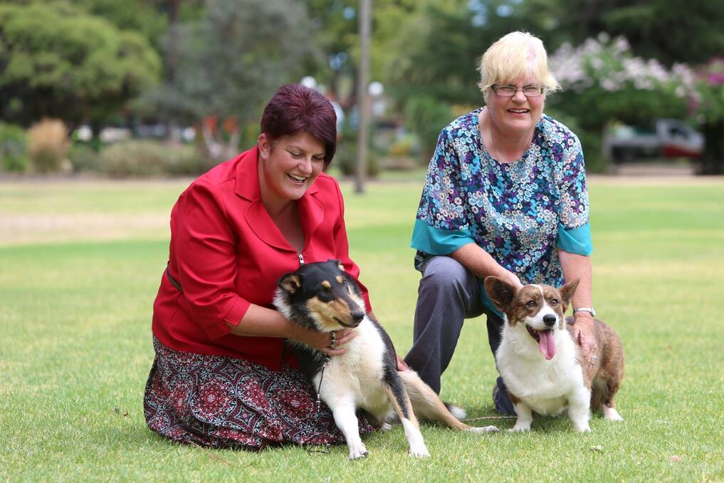 BEST MATES: Tracy McClellan and her 18-month-old smooth-coated collie, Hannah, and Lynette Harris with her three-year-old Cardigan corgi, Rafa. Picture: PETER WEAVING