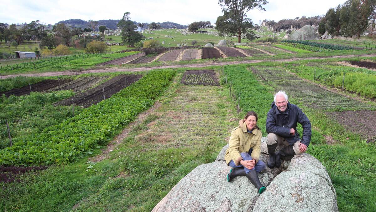 Jill McCalman and Andrew Wood have taken a bare paddock and turned it into a successful organic produce business. Picture: Peter Weaving