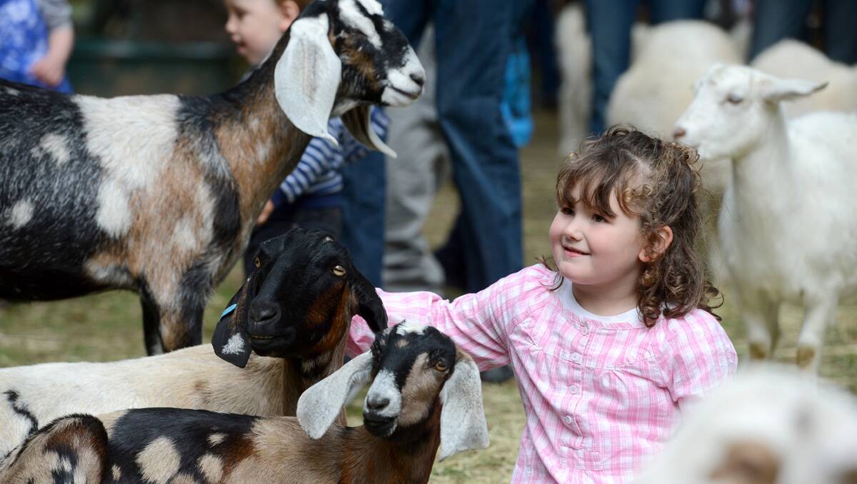2013 Bendigo Easter Festival. Farmer Darryl's Animal Farm. Lilly Francis. Picture: Jim Aldersey 