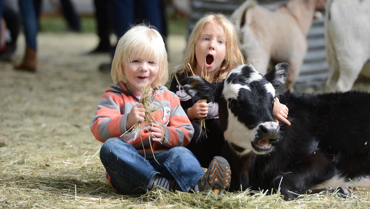 2013 Bendigo Easter Festival. Farmer Darryl's Animal Farm. Henry Turnbull and Nina Difabrizio pat a calf. Picture: Jim Aldersey 