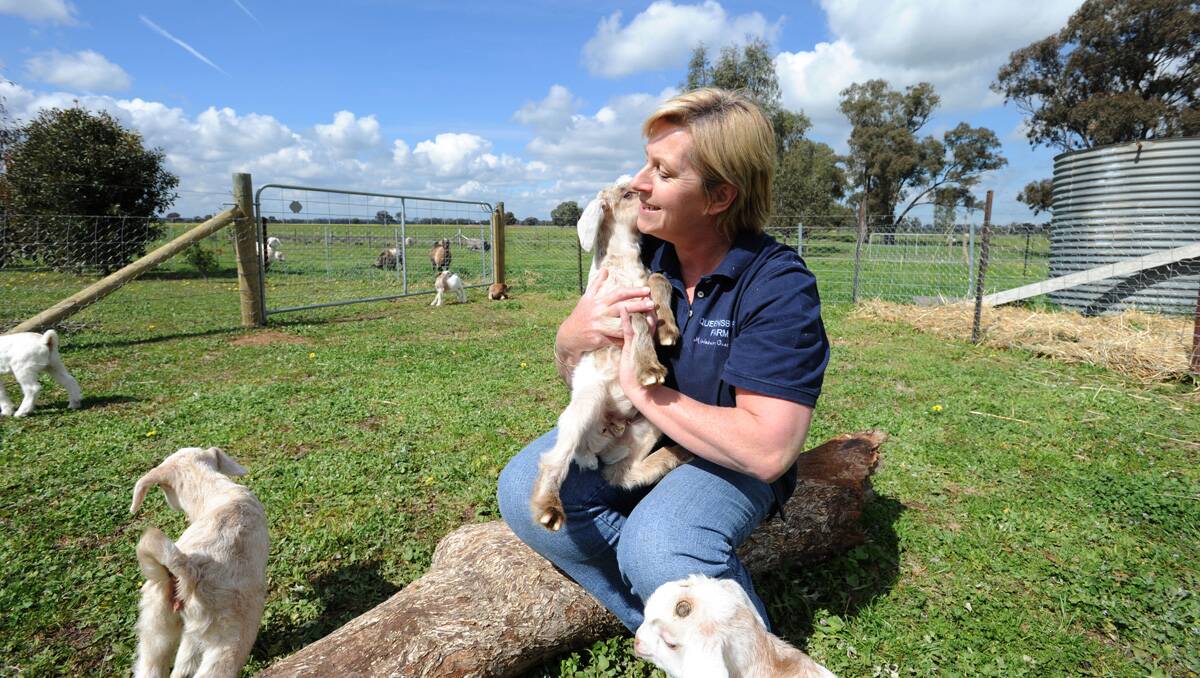 FOSTER MUM: Sharon Roby and the latest of her charges, three miniature goat kids. Picture: Peter Weaving