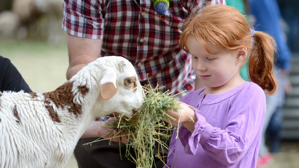 2013 Bendigo Easter Festival. Farmer Darryl's Animal Farm. Jessica Edmunds. Picture: Jim Aldersey 