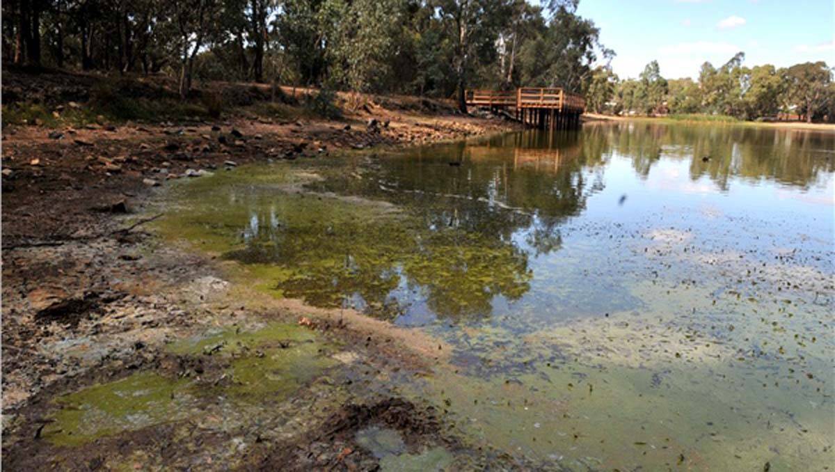 Blue-green algae has been found in Kennington Reservoir.