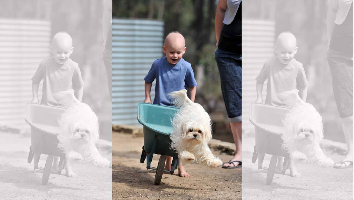 Aiden Jury takes his dog Ruby for a walk. Picture: Jim Aldersey