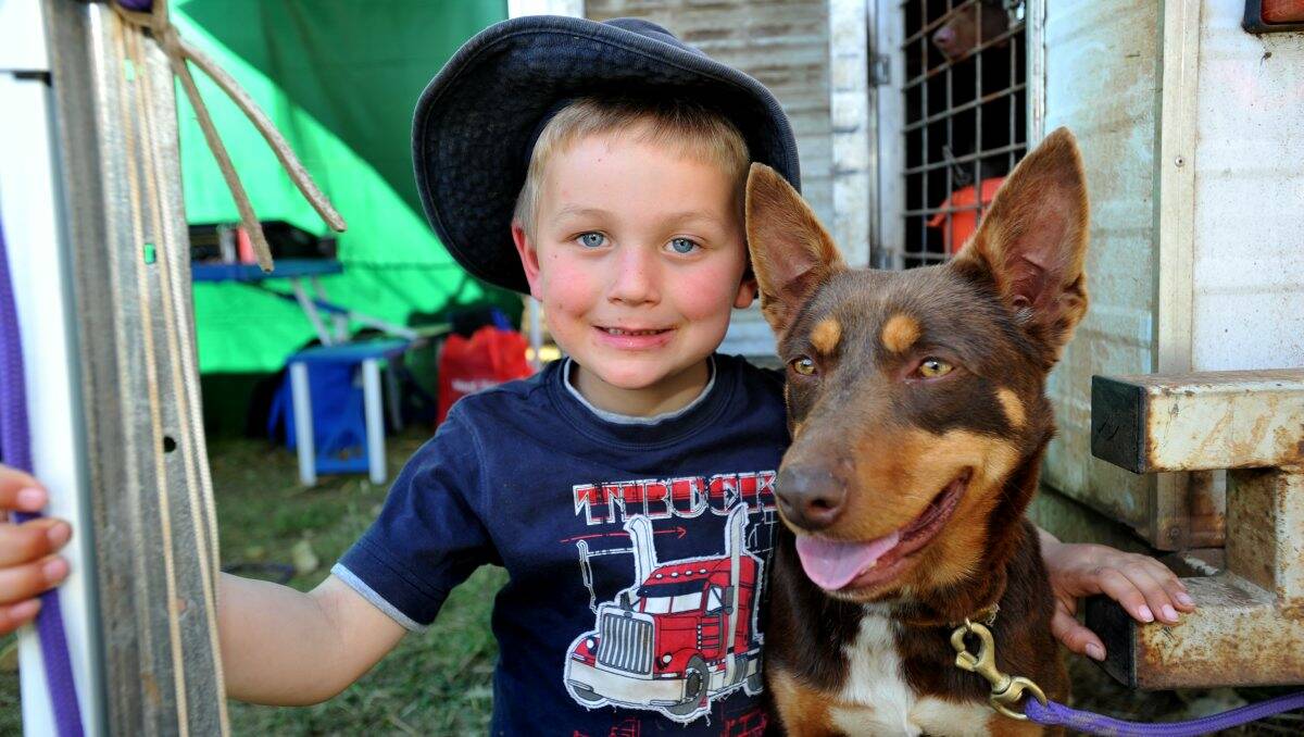 Happy days: Four-year-old Finn Clymo with a red kelpie. Picture: JULIE HOUGH