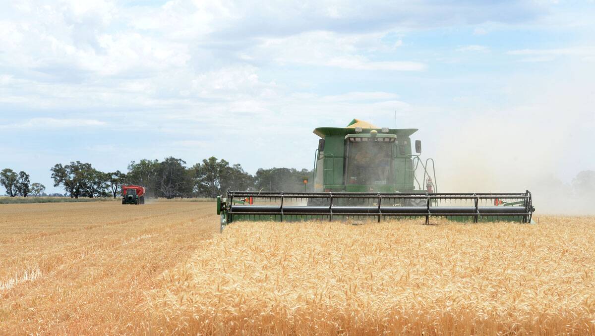 Harvest. Picture: Jim Aldersey