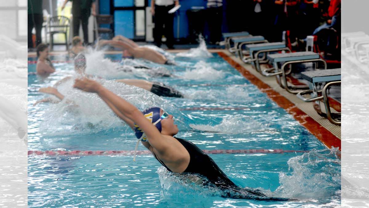 Bendigo Hawks Aquatic Swimming Carnival Off the blocks in a 100 metre backstroke heat. Picture: Julie Hough