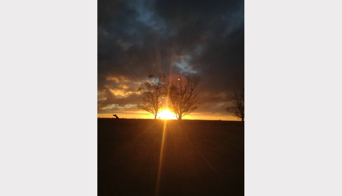 F for foudroyant. Meaning 'dazzling'... Sunset on our farm. Picture: Kelly Gould