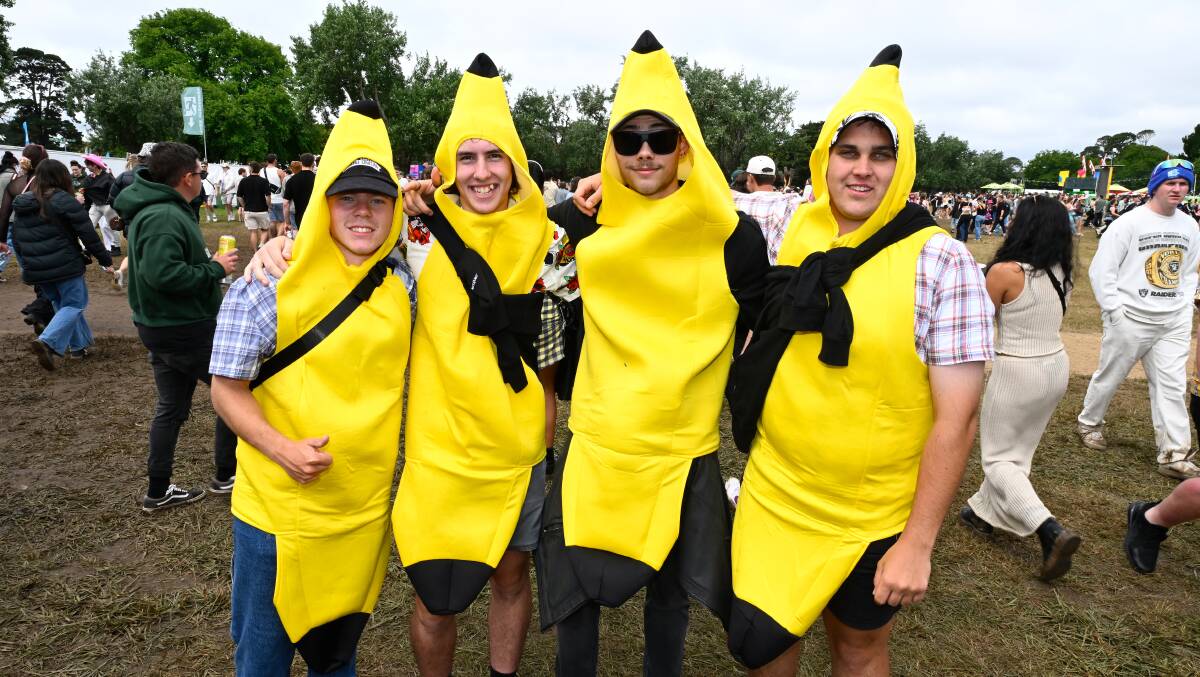 Cody, Rohan, Riley and Kane, all from Ballarat, thought the costumes would be a great way to find each other if lost. Picture by Adam Trafford
