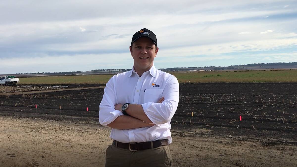 GrainGrowers general manager of policy and advocacy Zachary Whale. Picture: SUPPLIED