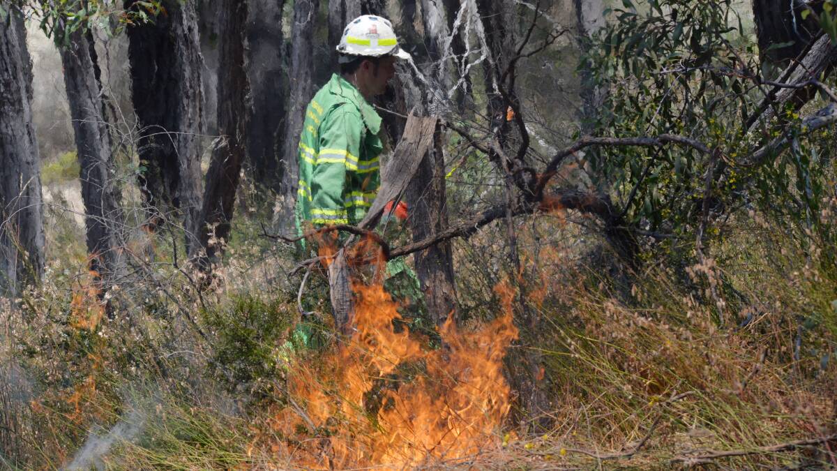PLANNED: Planned Burns will commence over the next two days across the Loddon Mallee region. Picture: DARREN HOWE