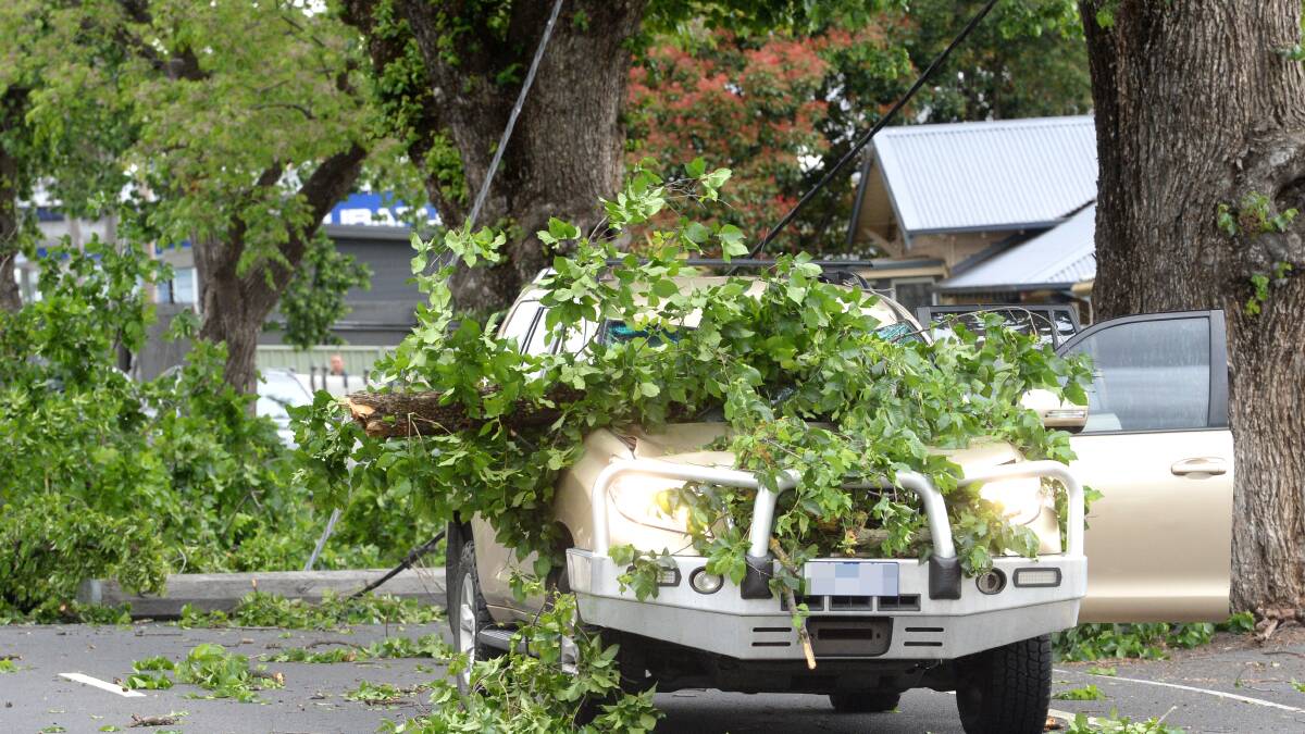 A SECTION of High Street in Golden Square is closed in both directions after a tree limb fell onto a vehicle. Picture: DARREN HOWE