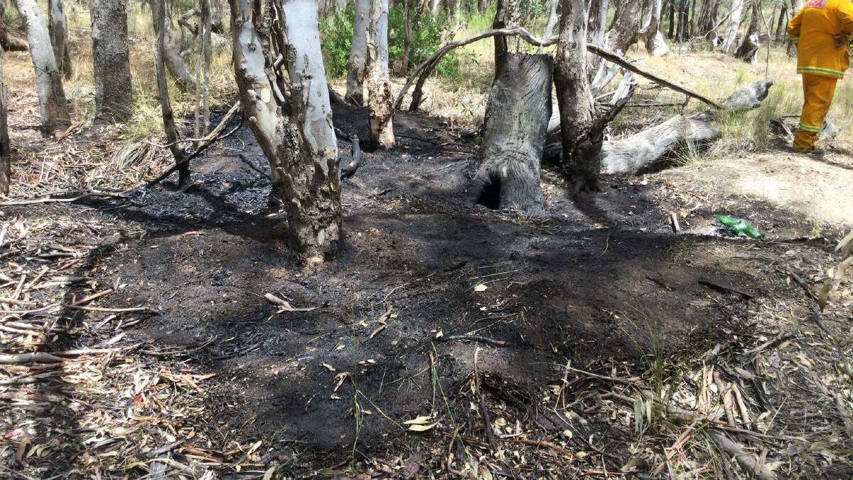 Maryborough Police appeal for information about bushland fire