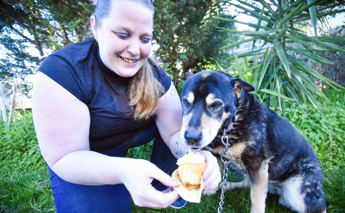 BAKE: Amanda Downing together with Belle has already raised over $600 for RSPCAs Cupcake Day. Picture: DARREN HOWE 