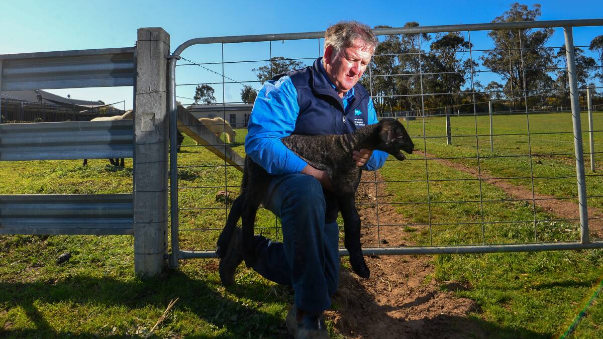 Victorian Agricultural Show chief executive Rod Bowles says while the grants are helpful, it's not enough to get shows back on their feet. Picture: DARREN HOWE