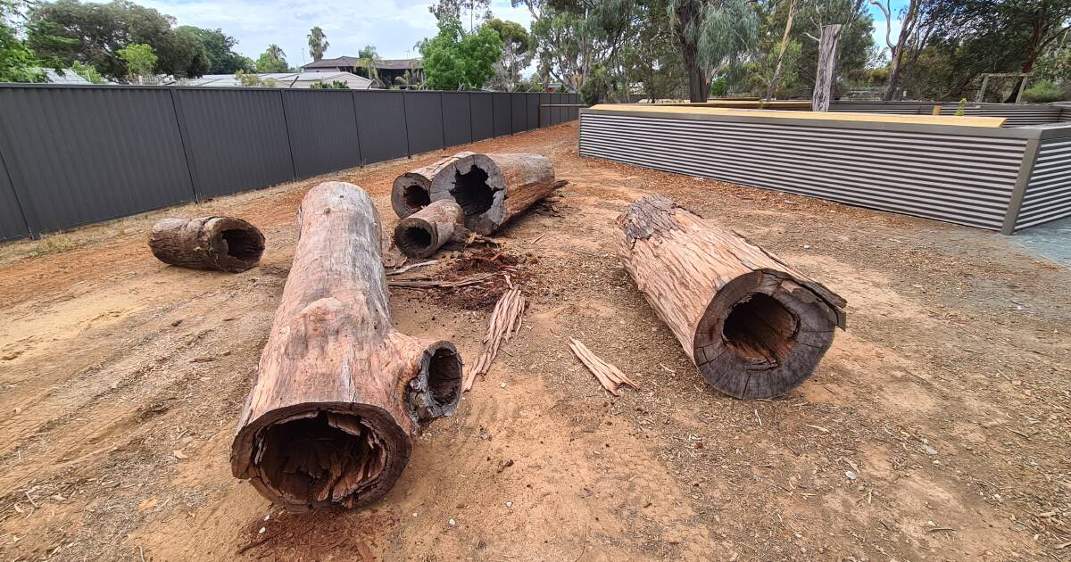 NEW HOMES: Animals at the Kyabram Fauna Park have comfy new homes thanks to the Echuca-Moama bridge project. Picture: SUPPLIED