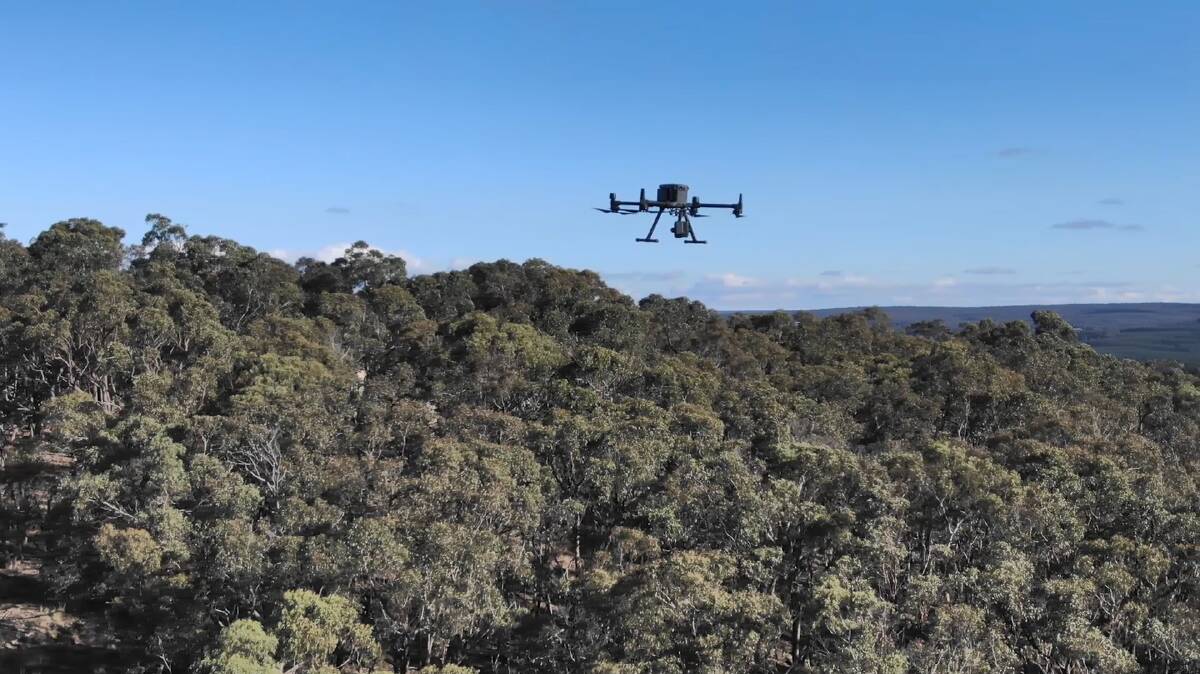 Remotely piloted drones will make inspections along 20km of powerlines in the Charlton, Wedderburn and Bridgewater areas on August 23 and 24. Picture: SUPPLIED