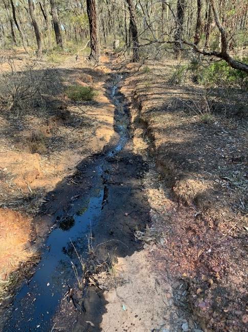 SPILL: Oil puts the native species that call the area home at serious risk. Picture: SUPPLIED