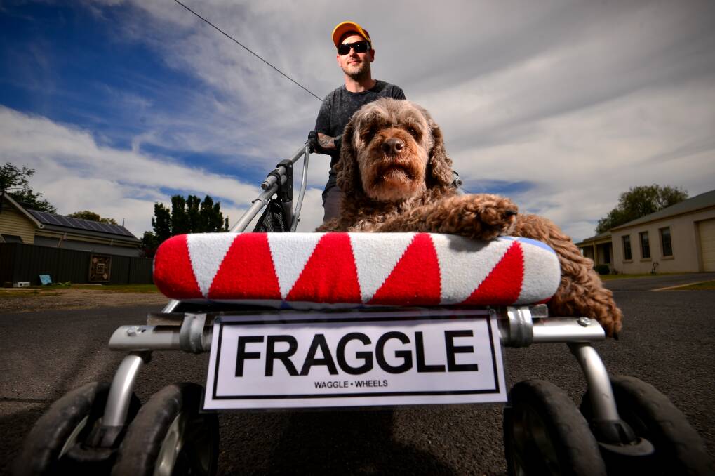 Tyler Hayes with Fraggle in a Waggle Wheels buggie. Picture: DARREN HOWE
