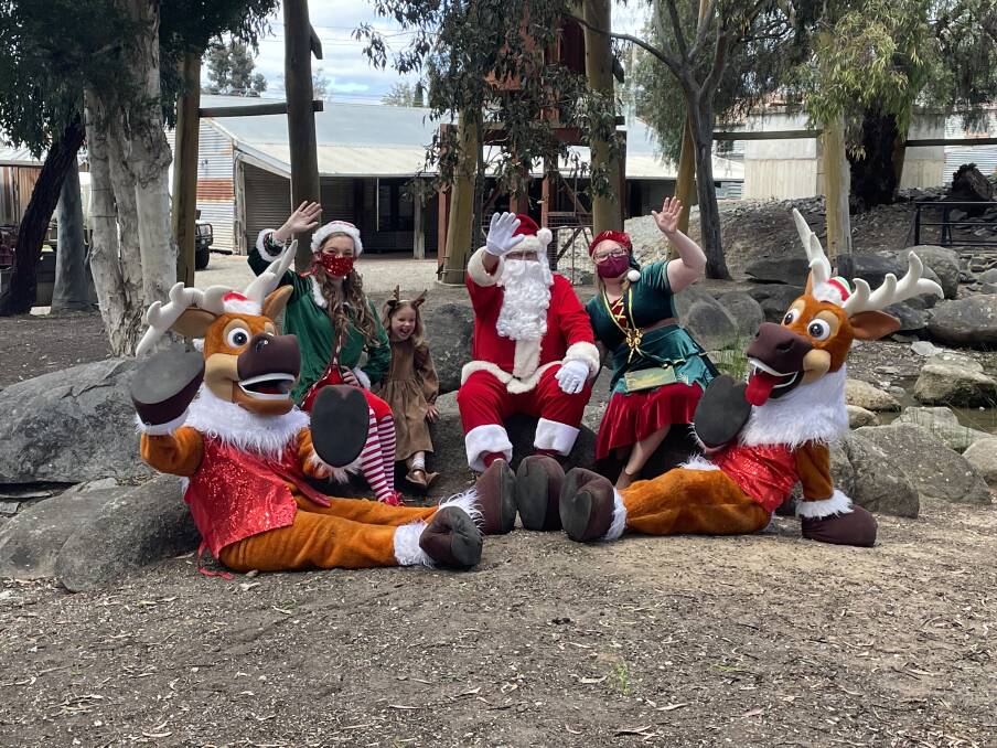 Comet, Chrissy Tinsel, Luca Meyer, Nutmeg Gigglefits and Dasher are ready for Elf Academy at the Central Deborah Gold Mine. Picture: ALEX GRETGRIX