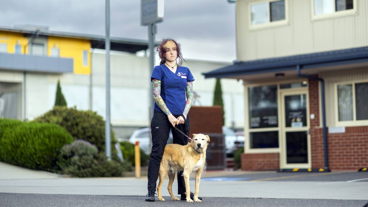 Canberra Vet emergency clinic staff are asking for compassion from clients after incidents of abuse. Client Care Manager, Leisa Matvieieva and Oscar. Picture by Gary Ramage 