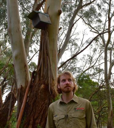 Jarah Marginata, 28, with one of the sugar glider nest boxes he helped organise to save the local population of the species at Tower Hill near Warrnambool, Victoria. Pictured in August 2023. Picture by Aaron Smith