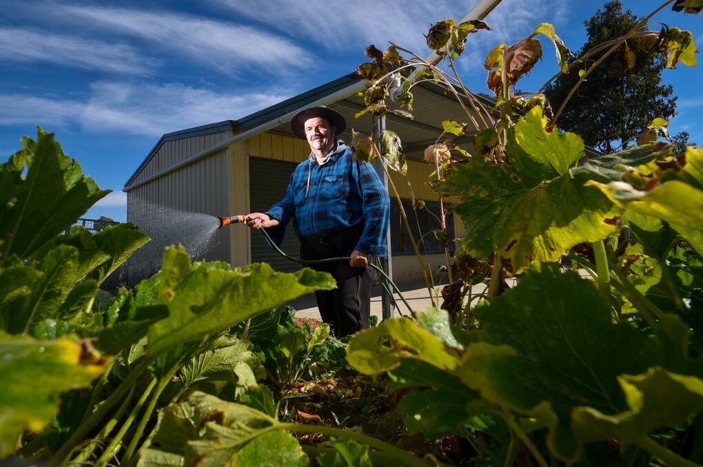 Volunteer Paul Pitcher at work in the Long Gully Community Garden. Picture by Darren Howe