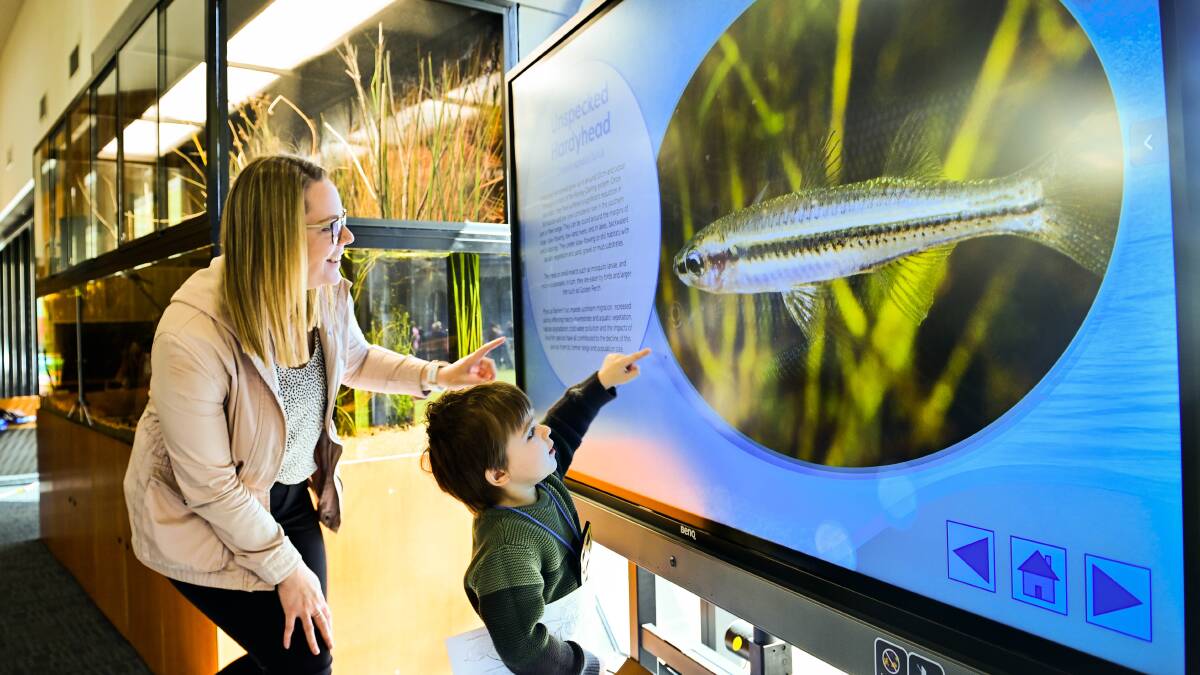 Thomas McNamara, 3, and Melissa Marriner of Bendigo Library check out the library's new aquarium. Picture by Brendan McCarthy.