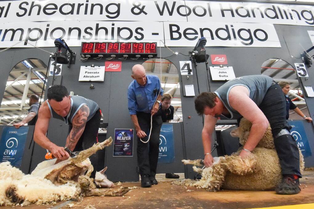 National Shearing and Wool Handling Championships in Bendigo. Pictures by Darren Howe