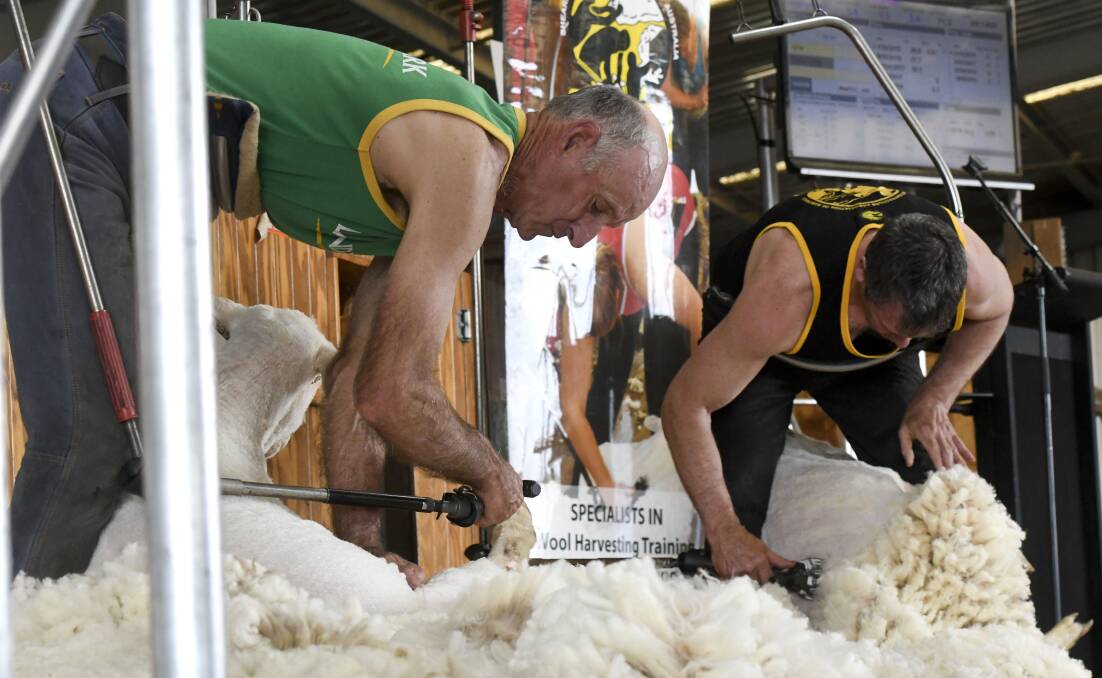 CLICK: Shearing demonstrations are always popular. Picture: NONI HYETT