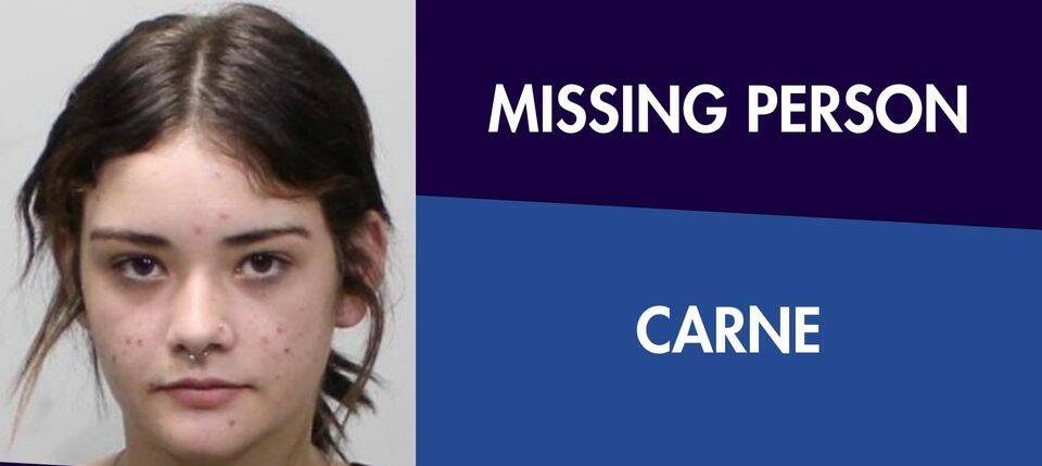MISSING: Have you seen Carne? Picture: Supplied
