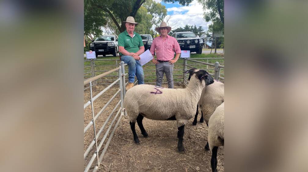 Auctioneers Dean Coxon and John Robson from Elders and Landmark Kyneton helped achieve a clearance rate of 96 per cent at the Suffolk Ewe Auction on Saturday. Picture: SUPPLIED
