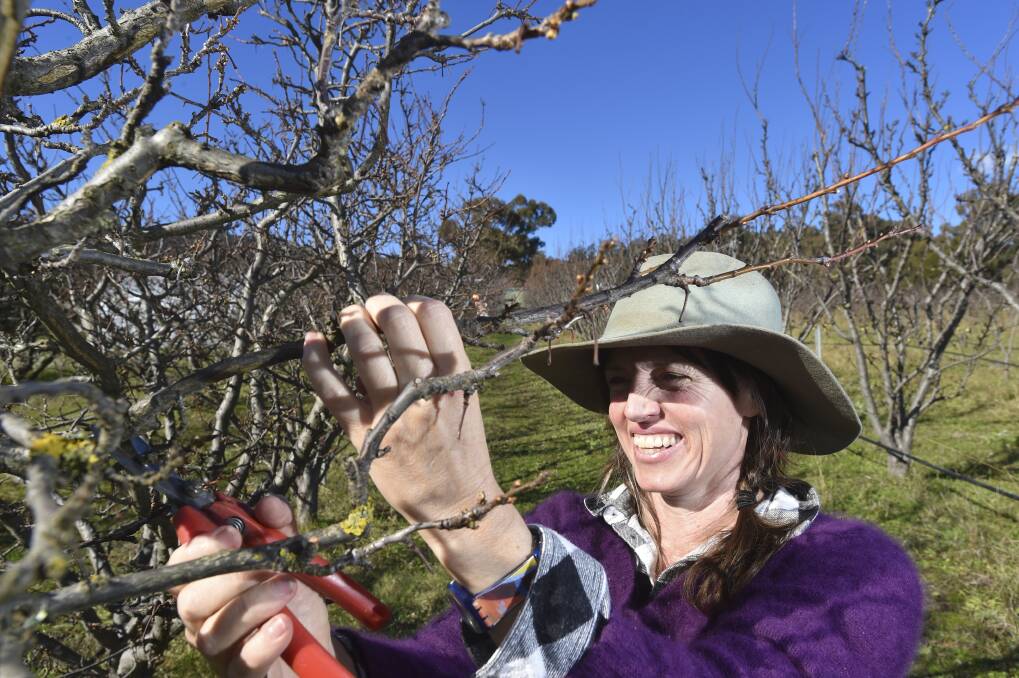 Ingrid began her career as an orchardist after working as a nutritionist. Picture: Noni Hyett