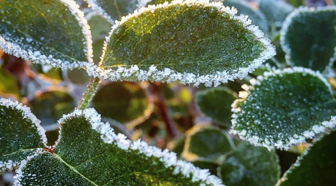 FROSTY: You might want to rug up today Bendigo. Picture: File