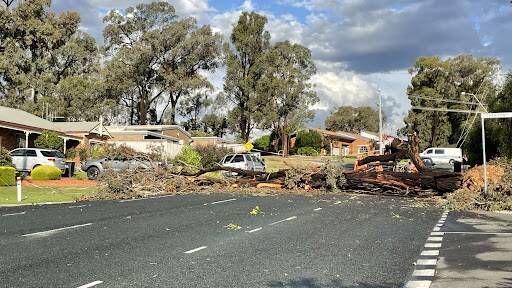 Storm damage in Strathdale. PICTURE: Maddy Fogarty.