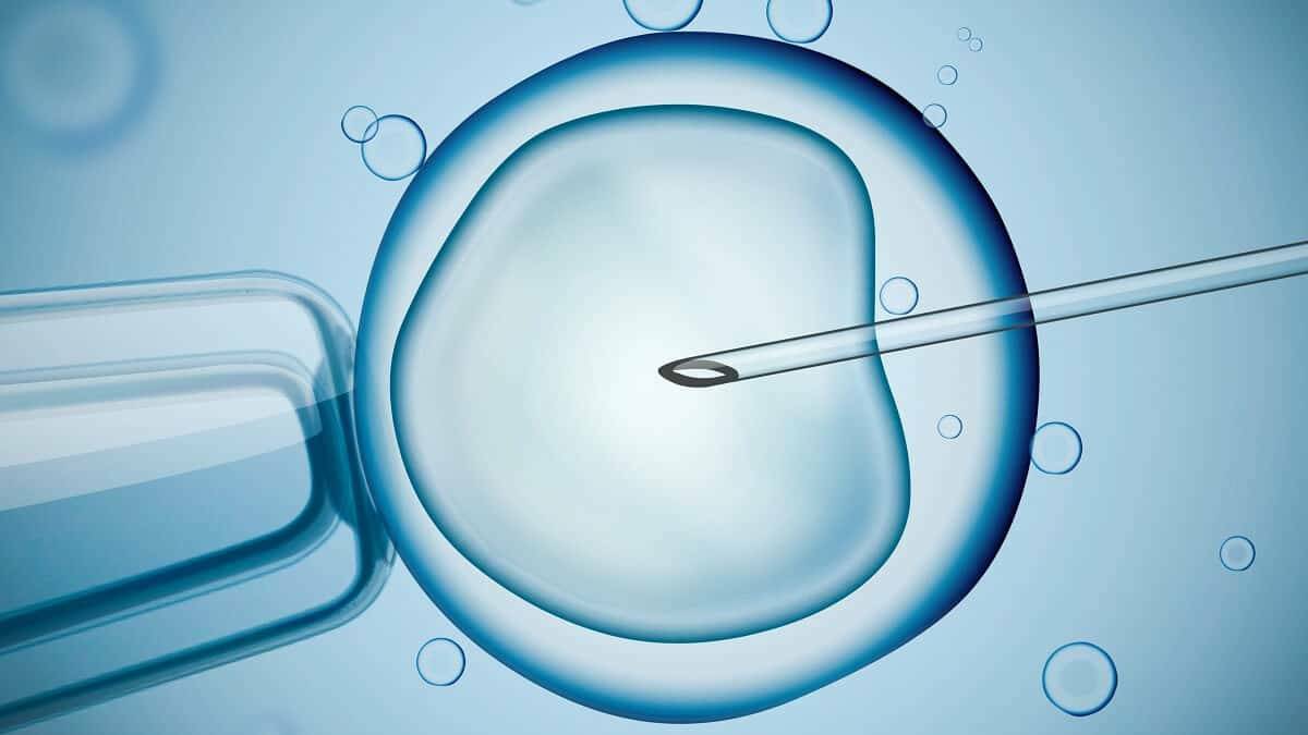 Government backpedals on IVF restrictions