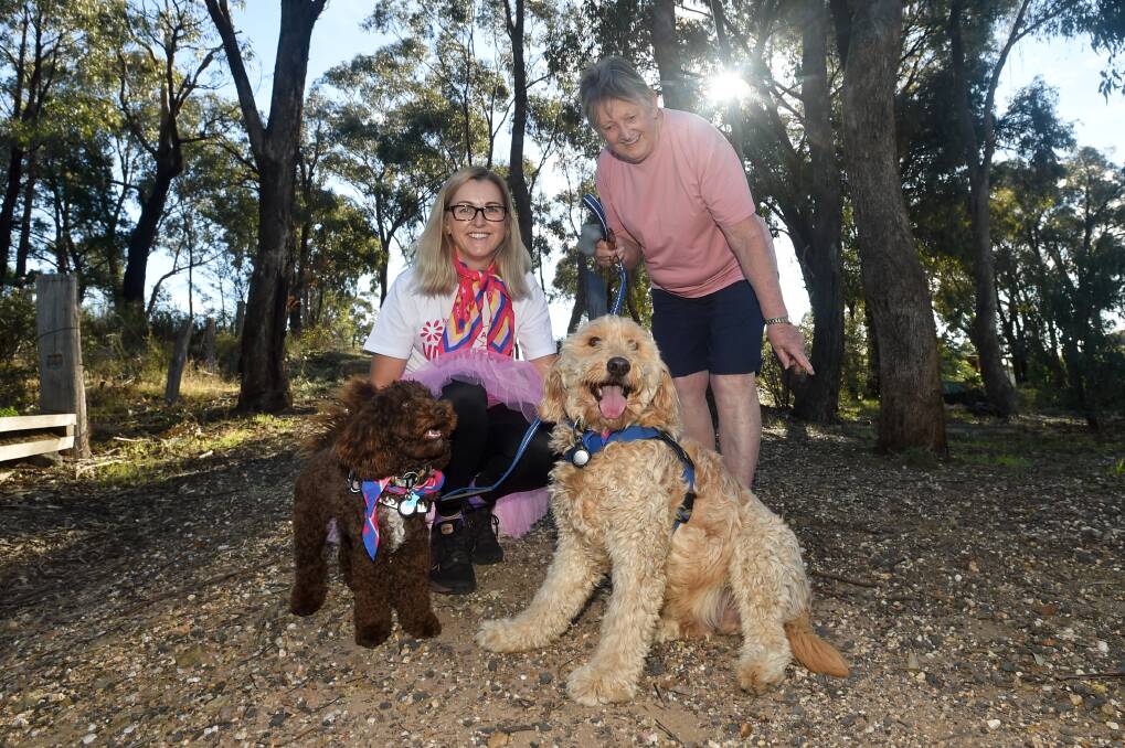 Furry friends: Jo Lythgo and her mum are getting ready for the dog-friendly Bendigo Mother's Day Classic. Picture: NONI HYETT