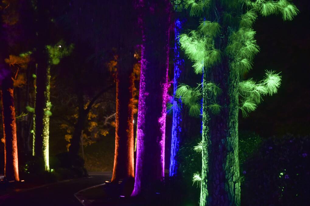 DISCO TRUNKS: the trees are in party mode for GLOW in the park. Picture: NONI HYETT