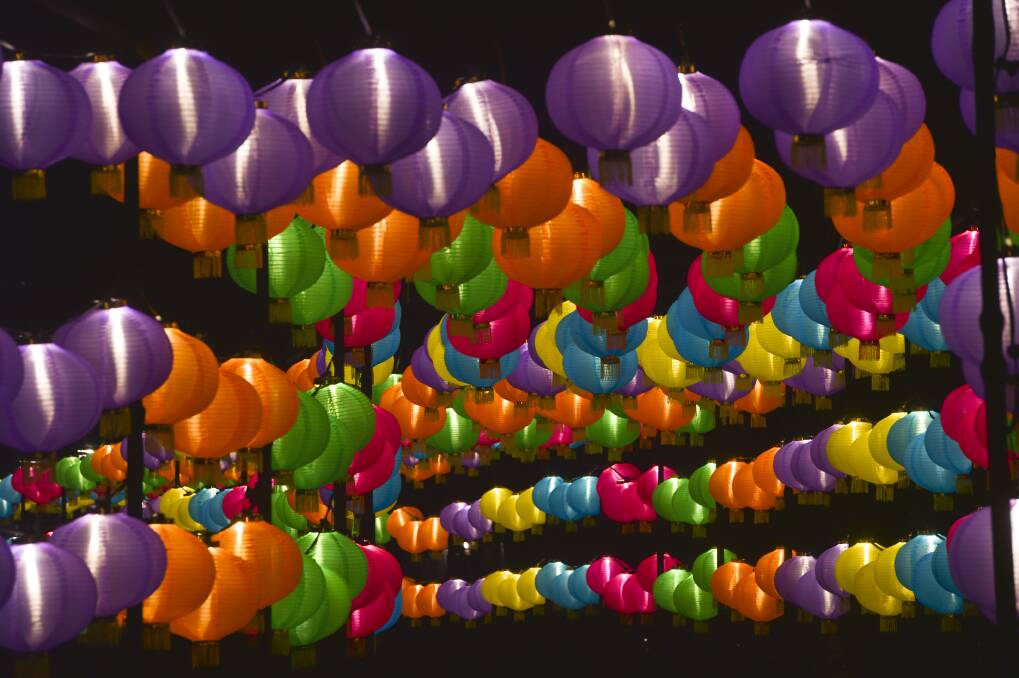 PRETTY AND FUNCTIONAL: paper lanterns light the way for visitors at the park. Picture: NONI HYETT