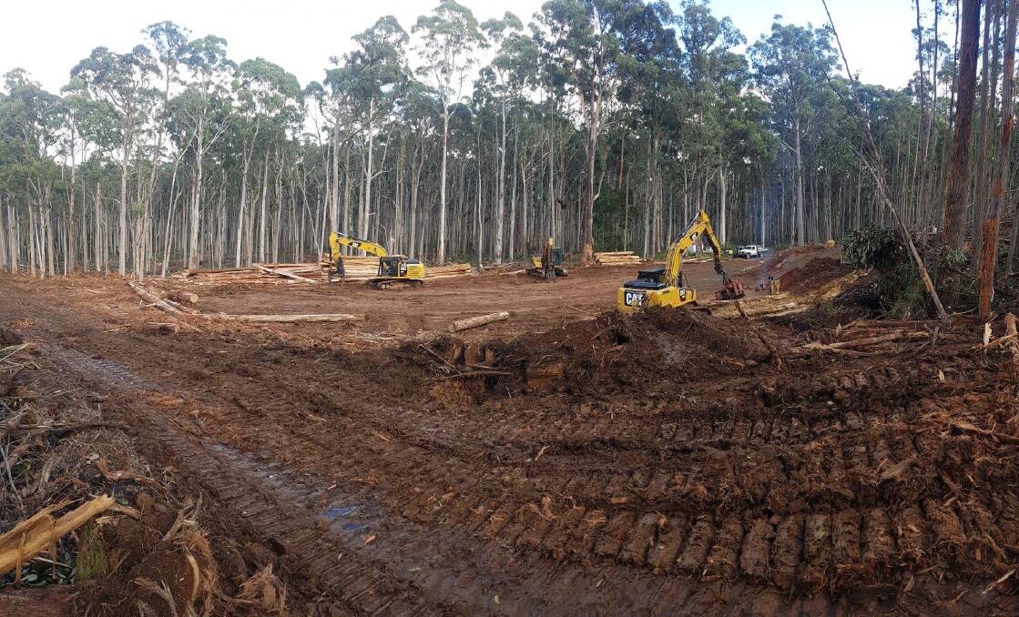 LOG LANDING: VicForests have cleared a log landing to place salvaged logs in the Wombat State Forest. Picture: SUPPLIED