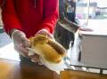 The sausage on bread roll served to voters at polling stations has become a modern Australian tradition on election day. Picture: Dion Georgopoulos