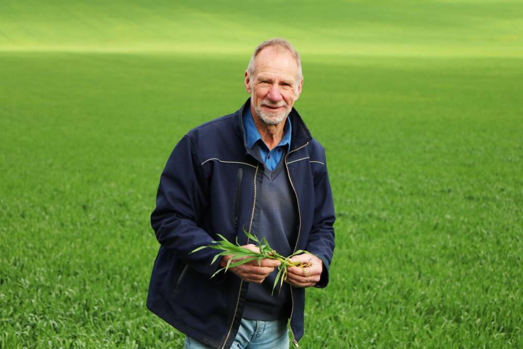 Keynote speaker Allan Mayfield will review international practices to maximise wheat yield. Picture by GRDC.