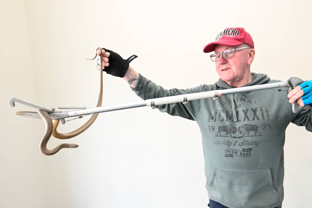 Bendigo snake catcher George Moore with a brown snake picked up from Eaglehawk on Friday. Photo by Darren Howe.