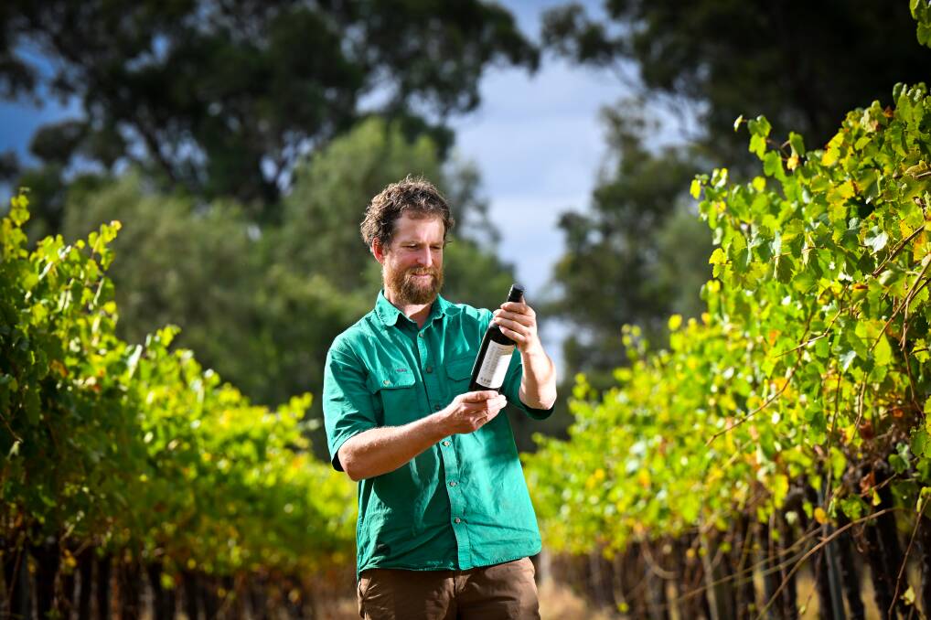 Black Wallaby's David Lawson considers a vintage at his Bridgewater vineyard. Picture by Darren Howe