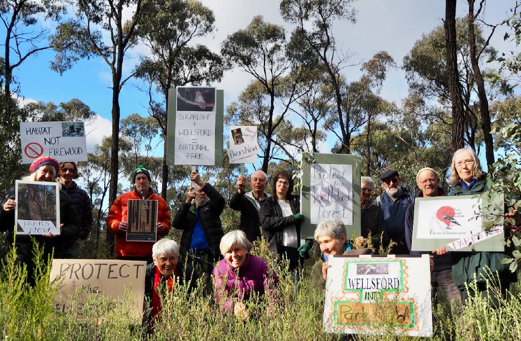 Wellsford Forest supporters are calling for action on protecting the area. Picture by Liz Martin