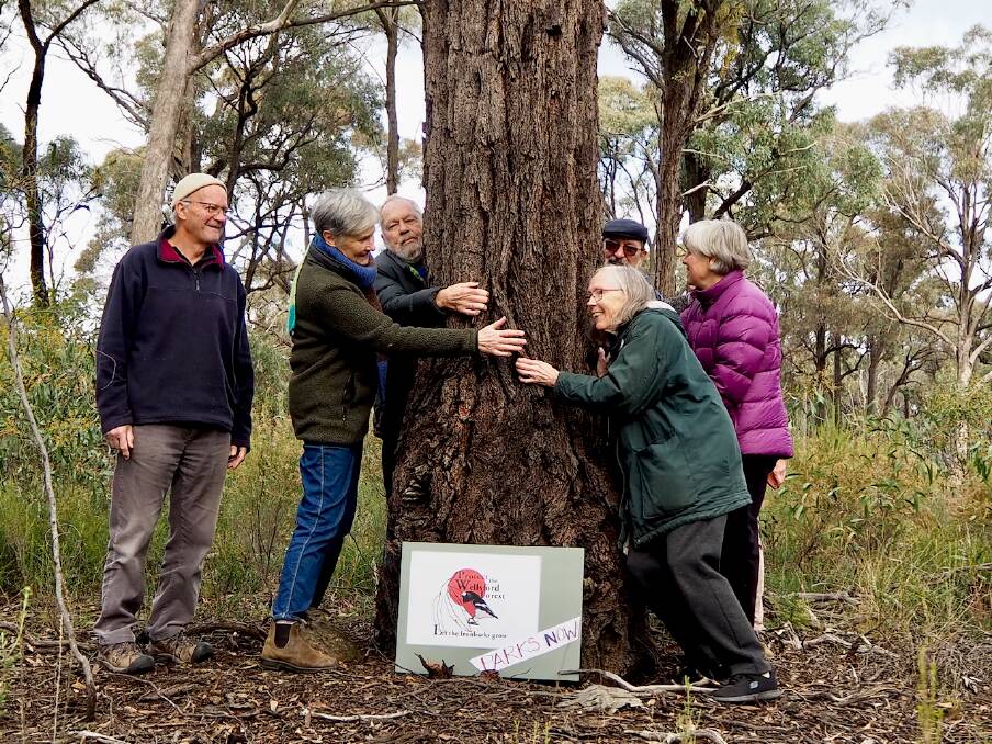 A few of the "tree-huggers" get their arms around an 180-year-old Wellsford ironbark. Picture by Liz Martin