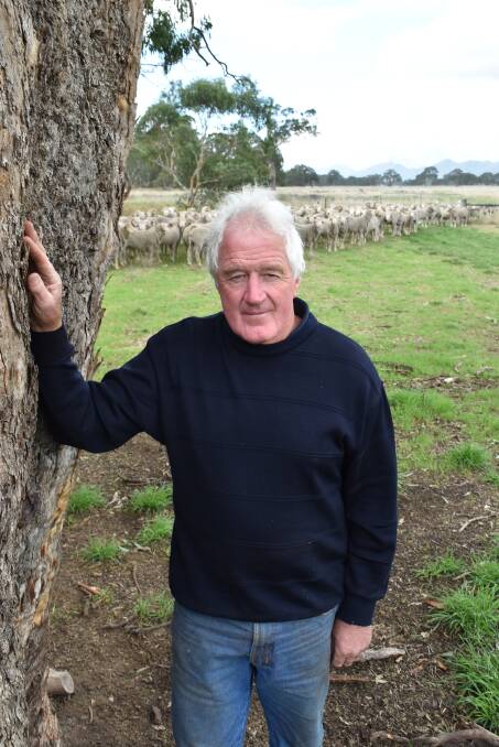 Rock-Bank Merino stud principal John Crawford, Victoria Valley, says sheep producers will leave the industry if a wild dog management plan is not renewed. Picture by Joely Mitchell