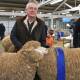CHAMPIONS: Laura Baker and Warren McRae, Oakbank, St Arnaud, who took out the grand and reserve champion in the strong wool merino ewe competition, sponsored by Stock & Land.